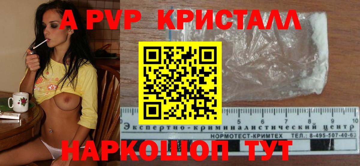 Alfa_PVP СК КРИС Тимашёвск