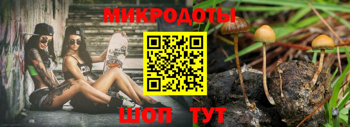 Псилоцибиновые грибы ЛСД Тимашёвск